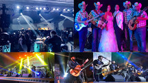 Live Music Groups